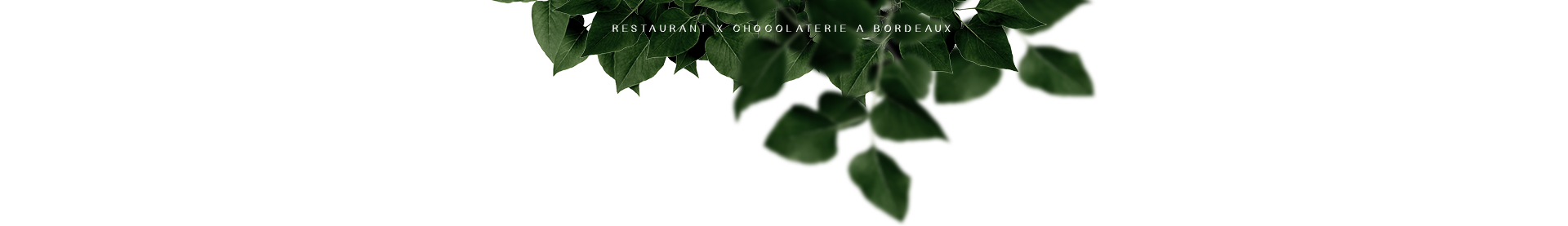 Restaurant Chocolaterie Ganache à Bordeaux